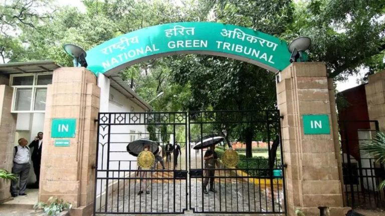 NGT का बड़ा फैसला: पंजाब में 1 जून से धान की बुआई की योजना को दी मंजूरी